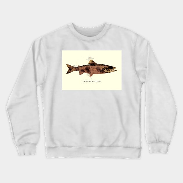 Canadian Red Trout Vintage Art for the Ocean Lovers and Anglers / Gifts for Fisherman Crewneck Sweatshirt by Naumovski
